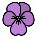 violet, flower, blossom, floral, nature