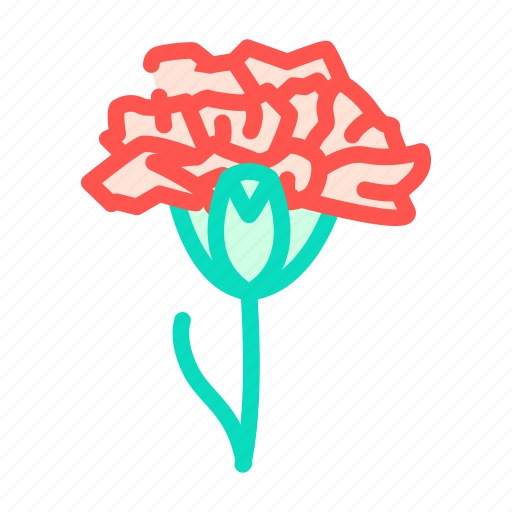 Carnation, flower, natural, aromatic, plant, rose icon - Download on Iconfinder