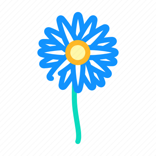 Daisy, flower, natural, aromatic, plant, rose icon - Download on Iconfinder