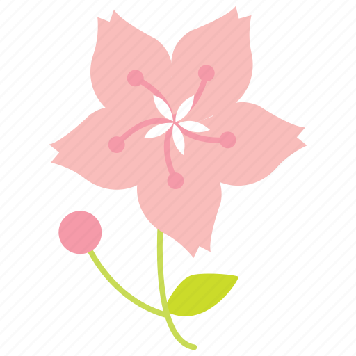 Cherryblossom, flower, garden, japan, pink, plant, spring icon - Download on Iconfinder