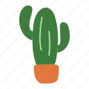pot, cactus, plant, desert