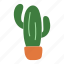 pot, cactus, plant, desert 