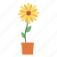 flower, pot, sun flower, plant 