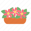 flower, pot, rose, plant