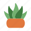 pot, aloe vera, grass, leaves 