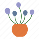 flower, pot, plant, leaf