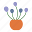flower, pot, plant, leaf 