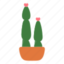 pot, cactus, plant desert