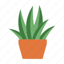pot, grass, leaf, plant