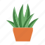 pot, grass, leaf, plant 
