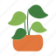 pot, leaves, plant, nature 