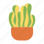 flower, pot, grass, leaf 