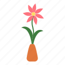 flower, pot, plant, rose