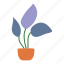 flower, pot, leaf, plant 