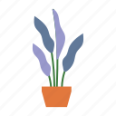 flower, pot, leaves, plant
