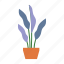 flower, pot, leaves, plant 