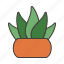 leaf, grass, aloe vera, plant 