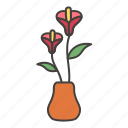flower, plant, flower pot, floral