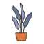 garden, nature, floral, plant 