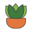 flower, flower pot, cactus, leaf 