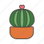 flower, cactus, plang, dessert 