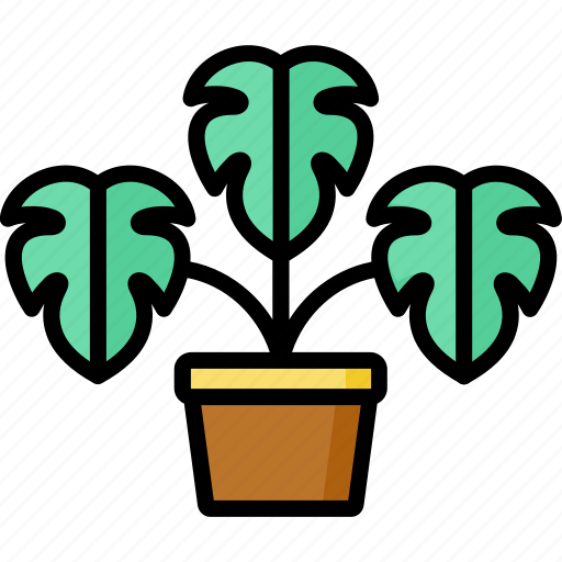 Flower, monstera, plant, leaf, leaves icon - Download on Iconfinder