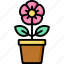 flower, shop, plant, pot, decoration, nature 