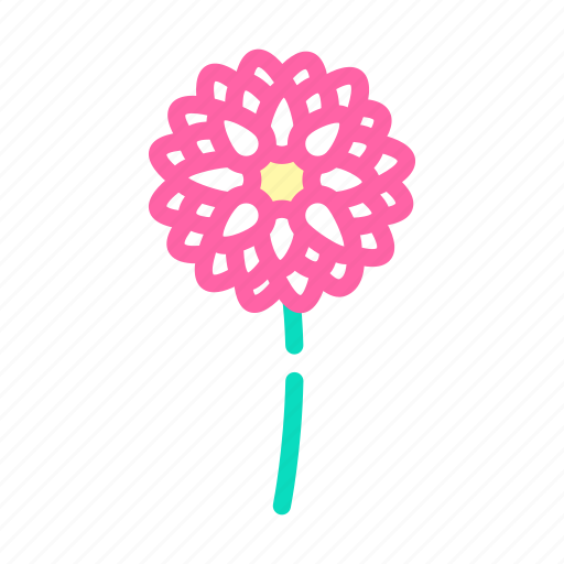Dahlia, blossom, spring, flower, floral, nature icon - Download on Iconfinder