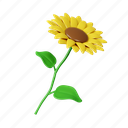 sunflower, flower, botanical, element, floral, nature, farming, plant 