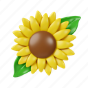 sunflower, flower, botanical, element, nature, floral, garden 