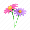 romantic, echinacea, petal, flower, floral, beauty, decoration, nature 