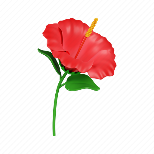 Hibiscus, hawaiian, hawaii, india, illustration, flower, beauty 3D illustration - Download on Iconfinder