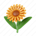 sunflower, flower, botanical, element, illustration, floral, isolated, garden, nature 
