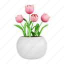 romantic, tulip, floral, elegant, minimalist, colourful, isolated, flower 