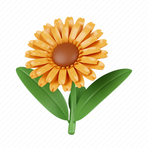 Sunflower, flower, botanical, element, illustration, floral, isolated 3D illustration - Download on Iconfinder