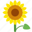 floral, flower, garden, seed, sun, sunflower 