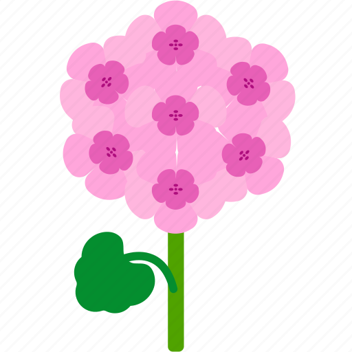 Floral, florist, flower, garden, geranium, nature icon - Download on Iconfinder