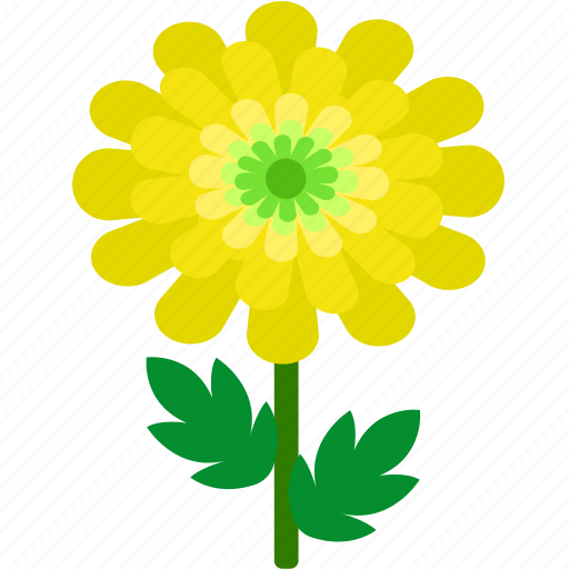 Chrysanthemum, floral, florist, flower, garden, nature icon - Download on Iconfinder