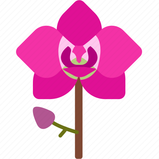 Floral, florist, flower, garden, nature, orchid icon - Download on Iconfinder