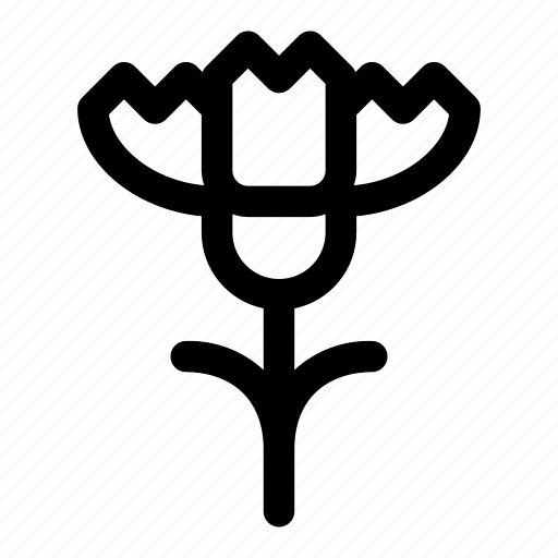Carnation, flower, plant, spring, garden, blossom icon - Download on Iconfinder