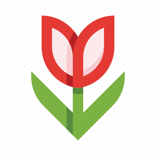 Flower, tulip, nature, plant, floral, garden, bloom icon - Download on Iconfinder