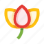 tulip, flower, nature, plant, floral, bloom, bud 