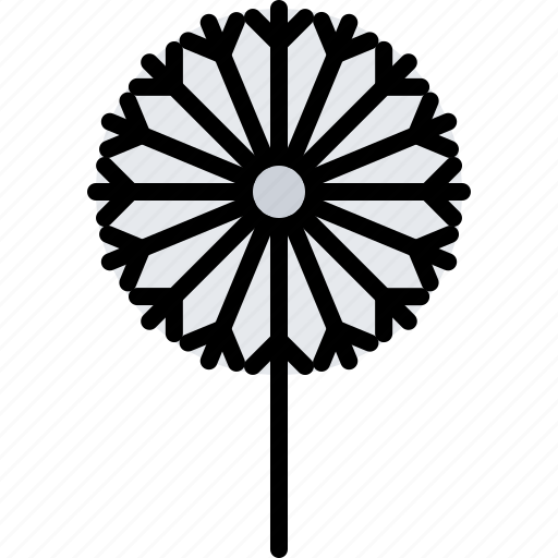 Flower, plant, dandelion, garden, flora, shop, nature icon - Download on Iconfinder
