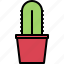 cactus, pot, garden, flora, shop, nature 