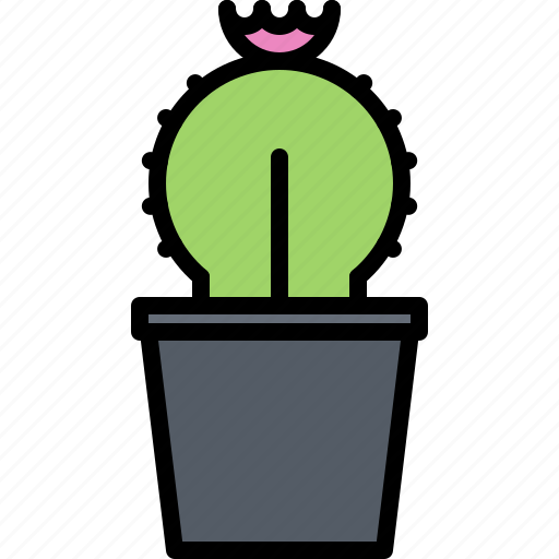 Cactus, pot, garden, flora, shop, nature icon - Download on Iconfinder