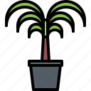palm, tree, pot, garden, flora, shop, nature