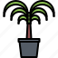 palm, tree, pot, garden, flora, shop, nature 