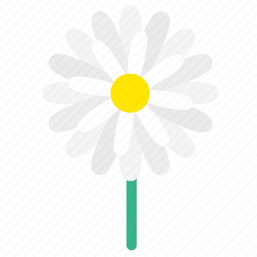 Blossom, botany, daisy, flower, flowering plants, wildflower, floral icon - Download on Iconfinder