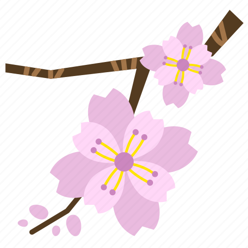 Blossom, cherry blossom, flower, perennial, pink, sakura, bloom icon - Download on Iconfinder