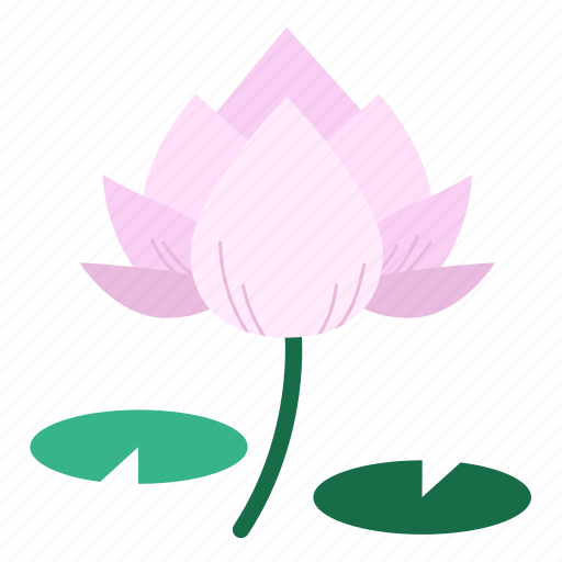 Aquatic plant, blooming, corbel, flower, lotus, lotus blossom, tropical icon - Download on Iconfinder